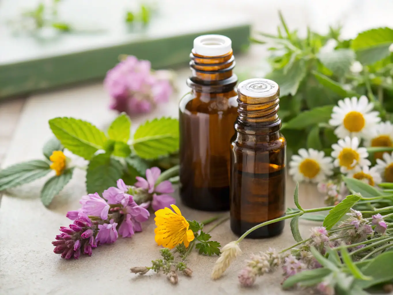 Aromatic image featuring various essential oil bottles and plants used in extraction, emphasizing the natural crafts training available at Rayhanet Academy.
